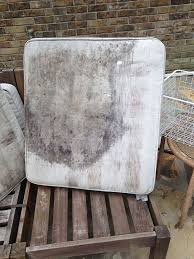 Mould on my outdoor cushions